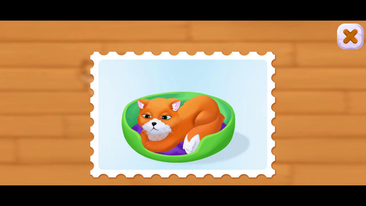 Video image